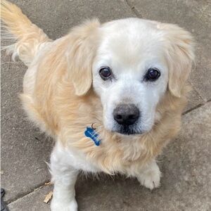 Meet your Posher, Boyd